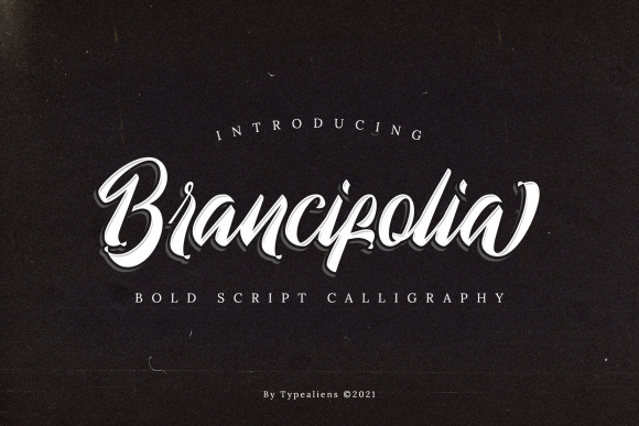Brancifolia: A Bold Script Font for Impactful Design
