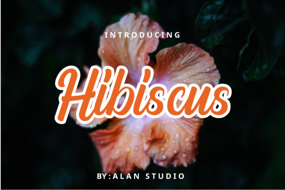Discovering Hibiscus: A Charming Handwritten Font for Editorial Design