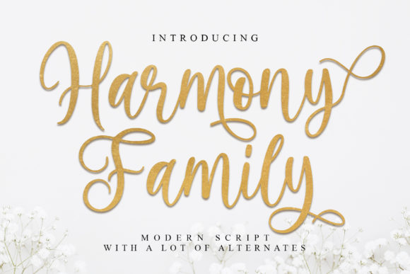 Harmony Family: A Versatile Handwritten Font for Branding
