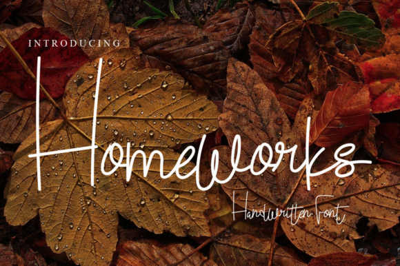 Homeworks: A Font to Elevate Your Brand's Visual Appeal
