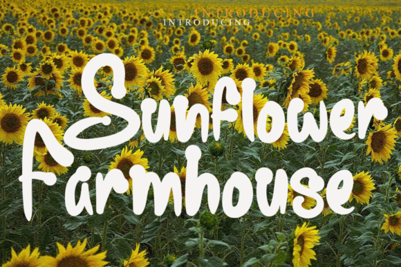Transform Your Brand with Sunflower Farmhouse Font